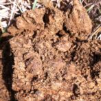 Soil Compaction (Relating to Drainfields)