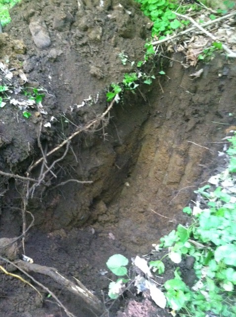 Soil Profile Pit