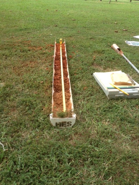 Soil Profile Sampled With Hand Auger