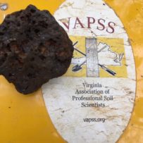 Volcanic Activity in Virginia